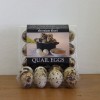 Quail Eggs